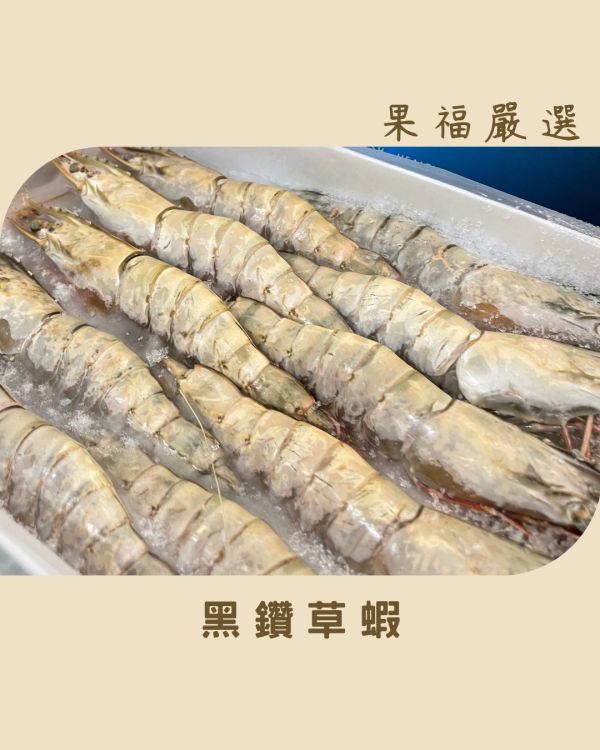 黑鑽草蝦 