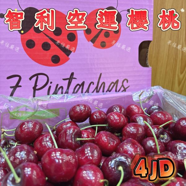 智利空運櫻桃4JD 智利空運櫻桃4JD
黑櫻桃
智利櫻桃
櫻桃