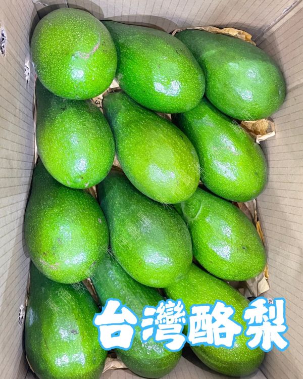 台東酪梨 