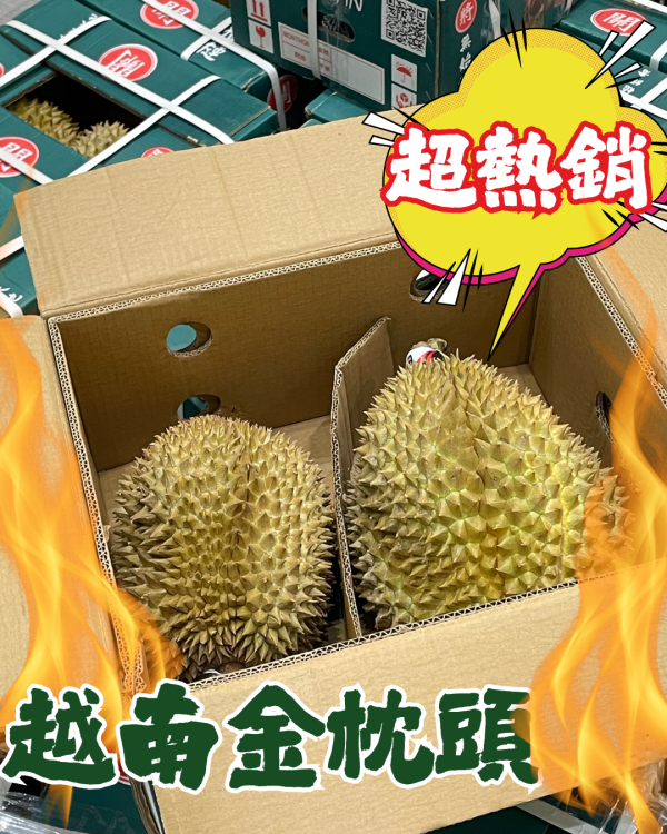 越南金枕頭榴槤 
