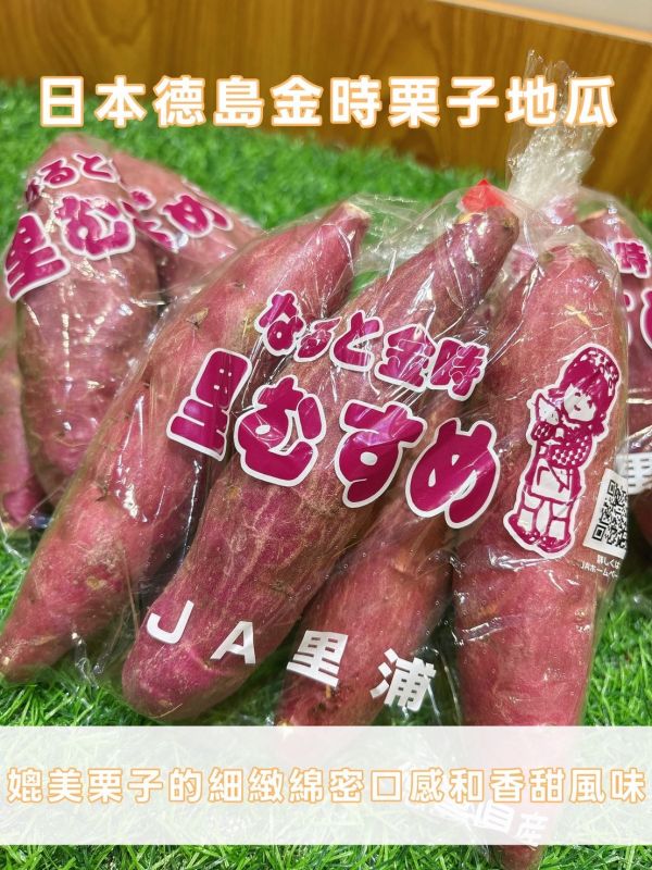 日本金時栗子地瓜 