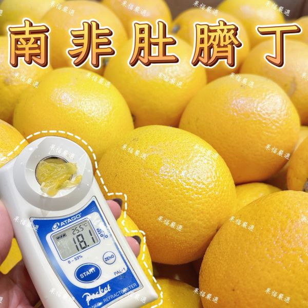 南非肚臍丁 🍊南非肚臍丁