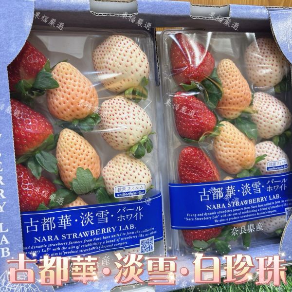 古都華•淡雪•白珍珠 古都華•淡雪•白珍珠