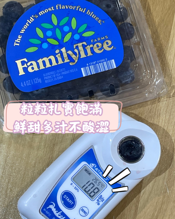 美國家庭樹鮮藍莓 