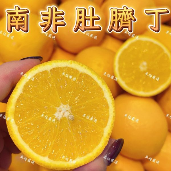 南非肚臍丁 🍊南非肚臍丁