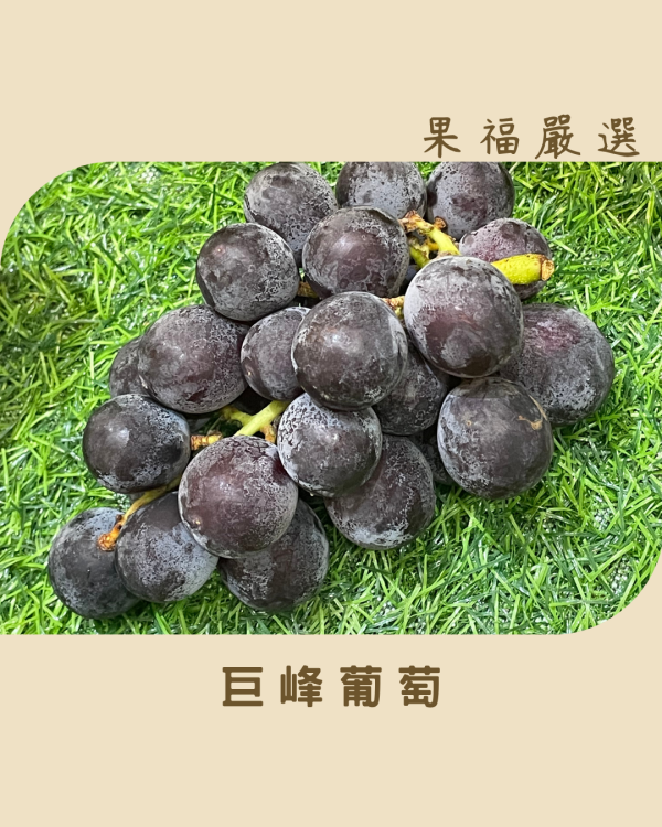 巨峰葡萄 