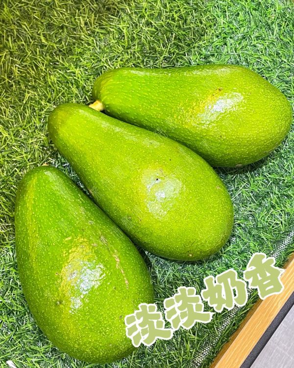 台東酪梨 