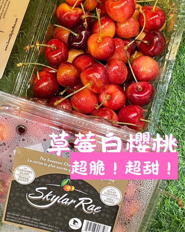 頂級焦糖草莓白櫻桃 