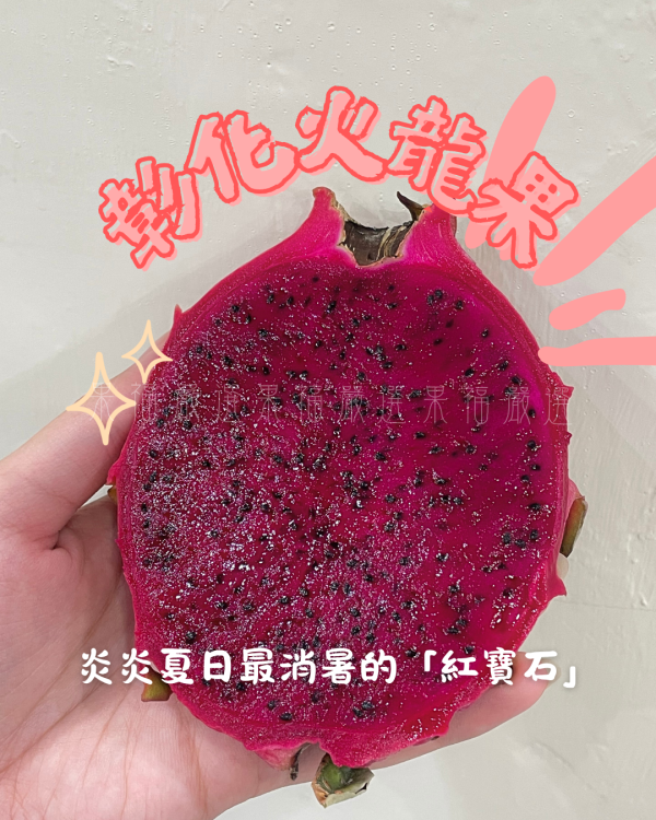 彰化火龍果 