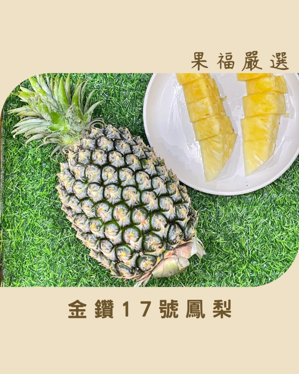 金鑽17號鳳梨 