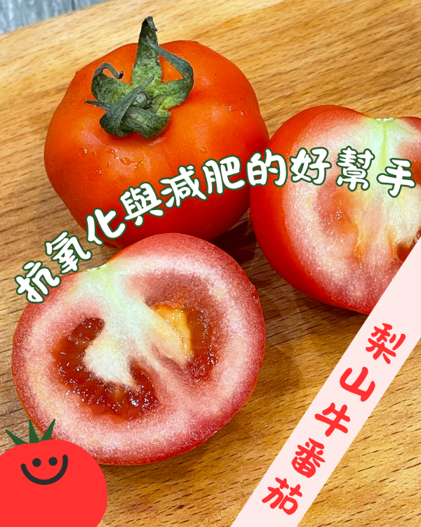 梨山牛番茄 