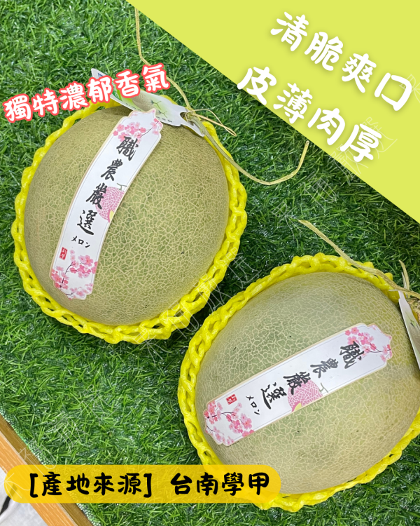 卡蜜拉洋香瓜 