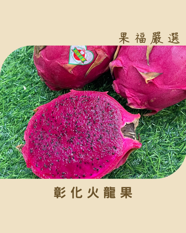 彰化火龍果 