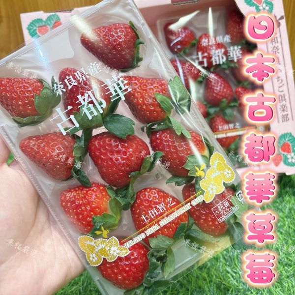 日本古都華草莓 古都華草莓
