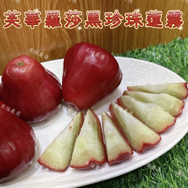 芙華羅莎黑珍珠蓮霧 芙華羅莎黑珍珠蓮霧
蓮霧
黑珍珠