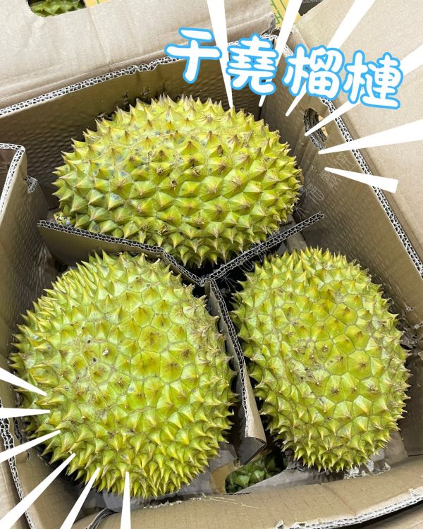 越南干堯榴槤 