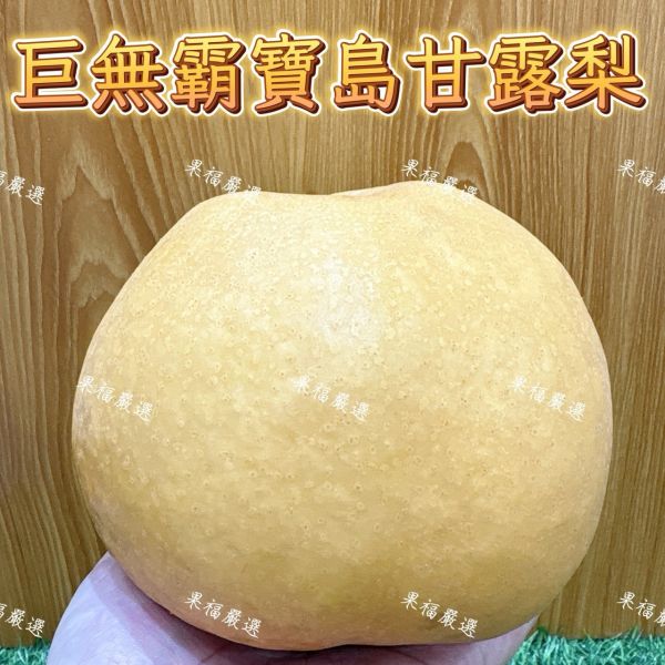 巨無霸寶島甘露梨 甘露梨
寶島甘露梨
水梨