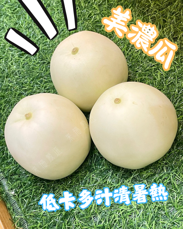 美濃瓜 