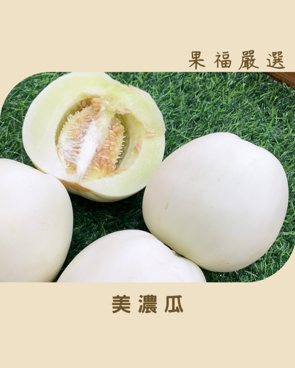 美濃瓜 