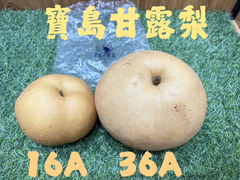 寶島甘露梨 🍐 巨無霸寶島甘露梨-甘蔗香 甜度爆表🔥 巨無霸梨子 甘蔗梨子
—

🥇巨大果型 → 一顆抵多顆！超有份量感
🥢細緻口感 → 肉質細膩,清脆爽口
🍬獨特香氣 → 清新的「甘蔗香」令人驚艷
💧甜度爆表 → 多汁鮮甜,吃過就回不去！