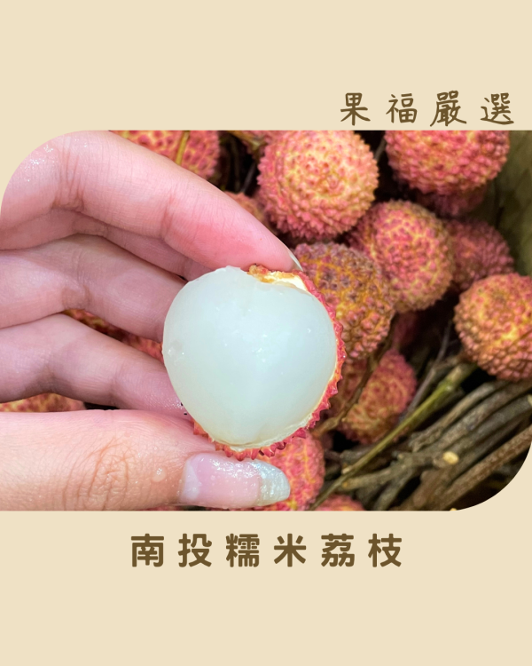 南投糯米荔枝 