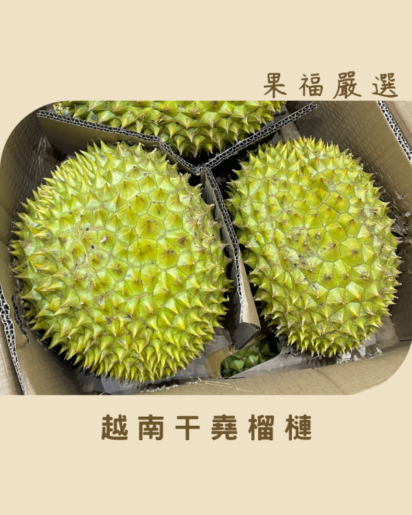 越南干堯榴槤 