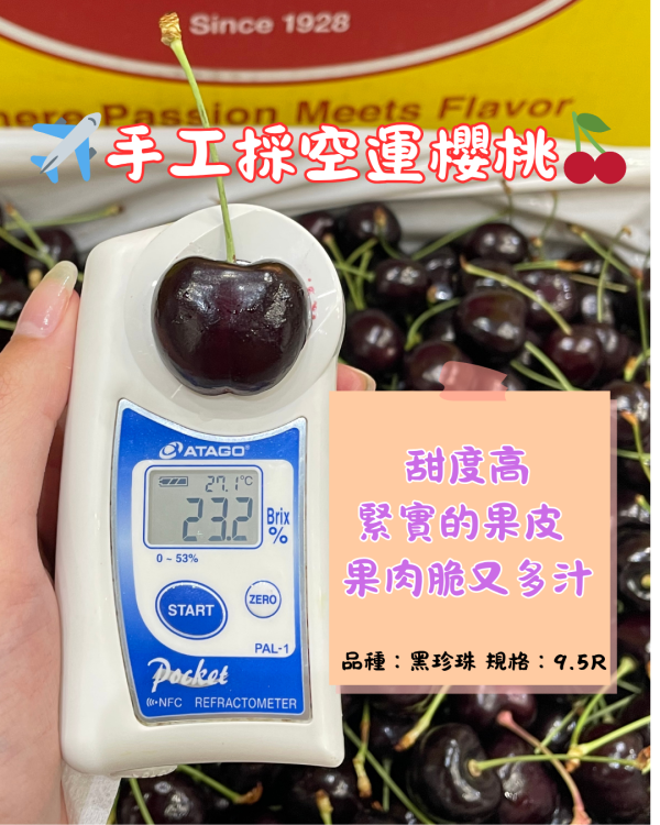 GEE WHIZ手摘櫻桃 