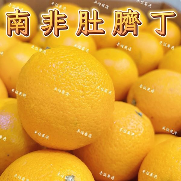 南非肚臍丁 🍊南非肚臍丁