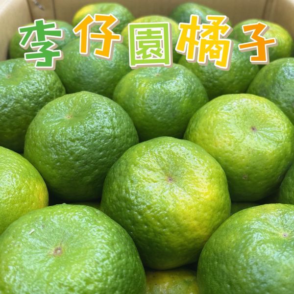 李仔園青皮橘子 🇹🇼 李仔園青皮橘子 🍊-酸甜多汁 維生素C💪