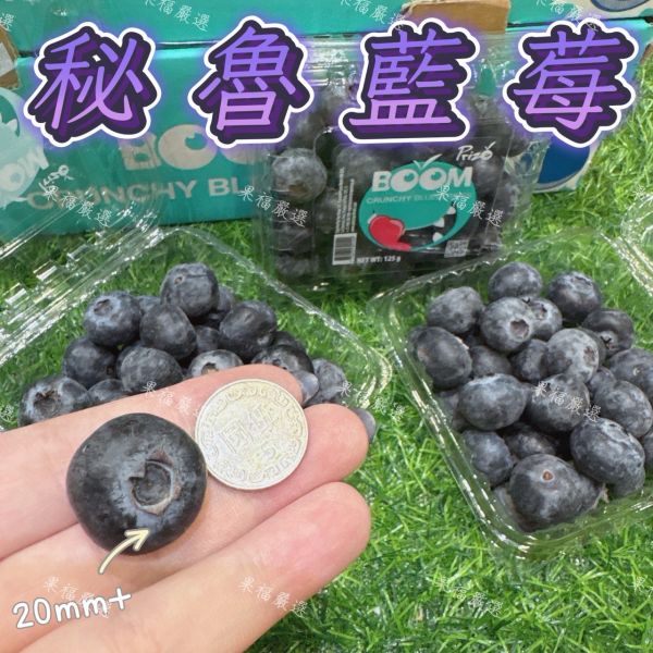 秘魯藍莓巨無霸果 秘魯藍莓巨無霸果
藍莓
大果