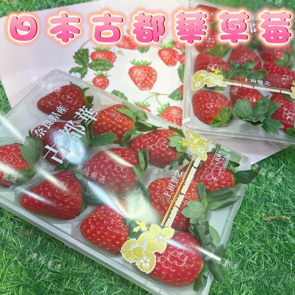 日本古都華草莓 古都華草莓