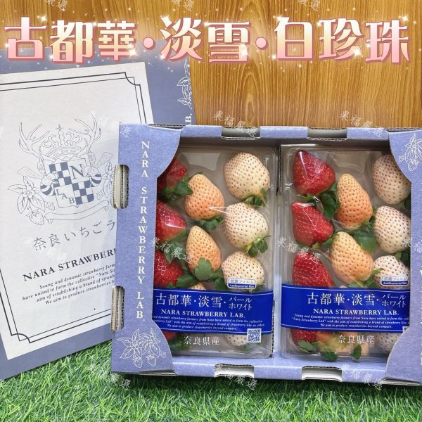 古都華•淡雪•白珍珠 古都華•淡雪•白珍珠