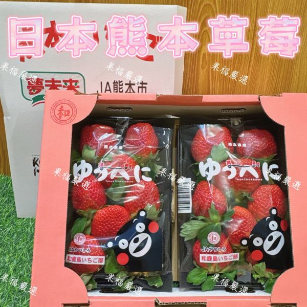 日本空運熊本草莓 日本熊本草莓
日本草莓
熊本草莓