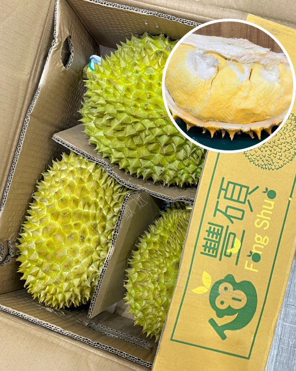 越南干堯榴槤 