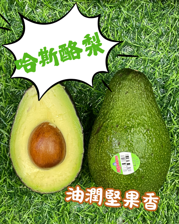 哈斯酪梨 