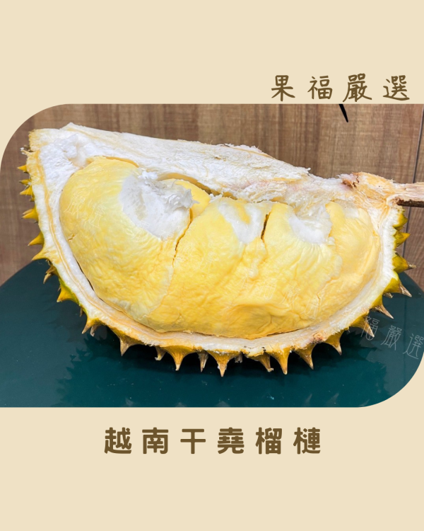 越南干堯榴槤 