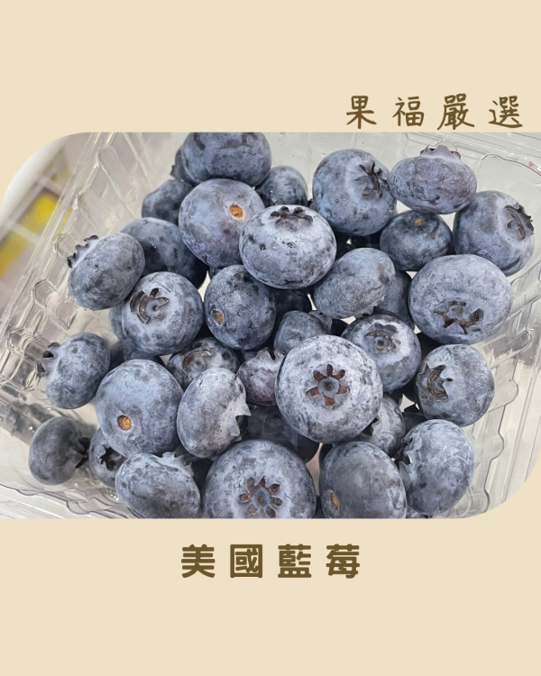 美國藍莓 