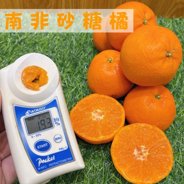 南非小砂糖橘 🍊🇿🇦【南非小砂糖橘｜甜度爆表・一剝就愛上💘】砂糖橘
🍊 果皮薄好剝,手不黏超療癒
💦 果肉多汁,咬下去甜到爆！
🍬 高甜度＋無籽,一顆接一顆根本停不下來！