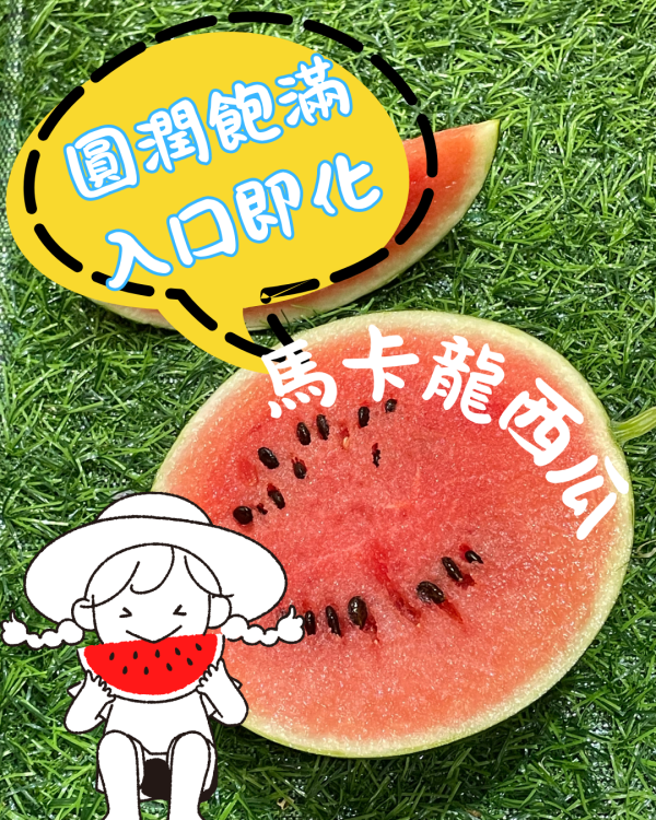 馬卡龍西瓜 