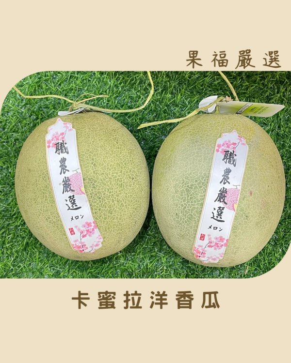 卡蜜拉洋香瓜 