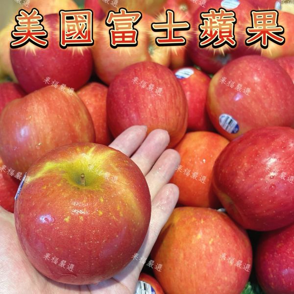美國富士蘋果 蘋果
富士蘋果
美國富士