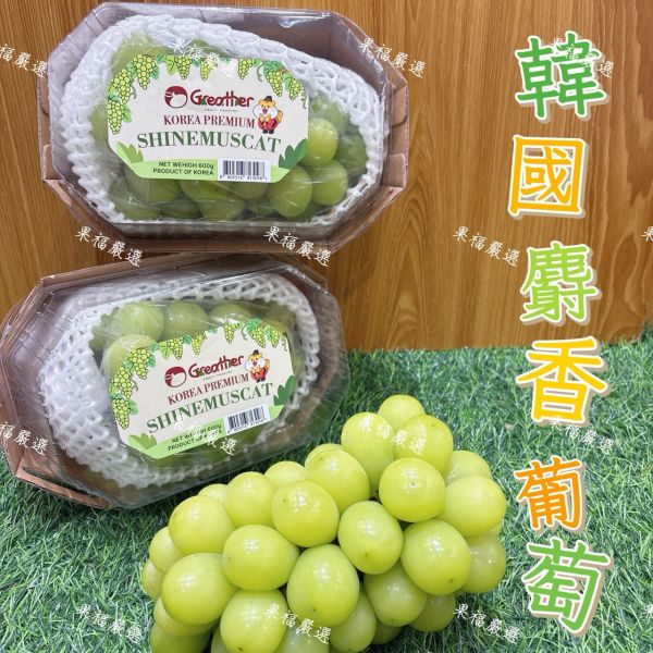 韓國麝香葡萄 🍇韓國麝香葡萄-果肉飽滿 細緻Q彈‼️送禮 麝香葡萄
✨ 果肉飽滿｜粒粒翠綠
✨ 完全無籽｜細緻Q彈
✨ 高顏值｜高甜度｜超Juicy

來自韓國的夢幻系麝香葡萄,一口爆汁、香氣濃郁,甜得剛剛好,吃過一次就回不去