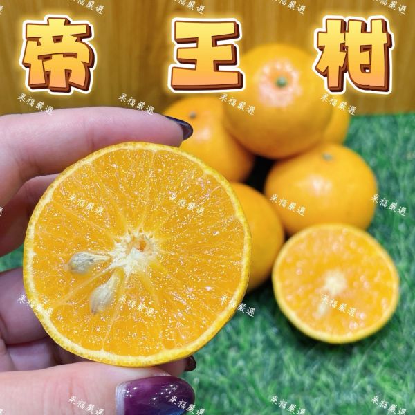 南投帝王柑 南投帝王柑
帝王柑