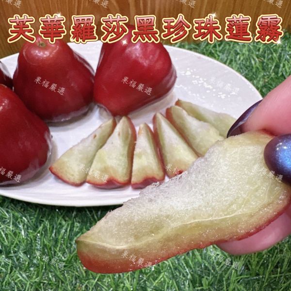 芙華羅莎黑珍珠蓮霧 芙華羅莎黑珍珠蓮霧
蓮霧
黑珍珠