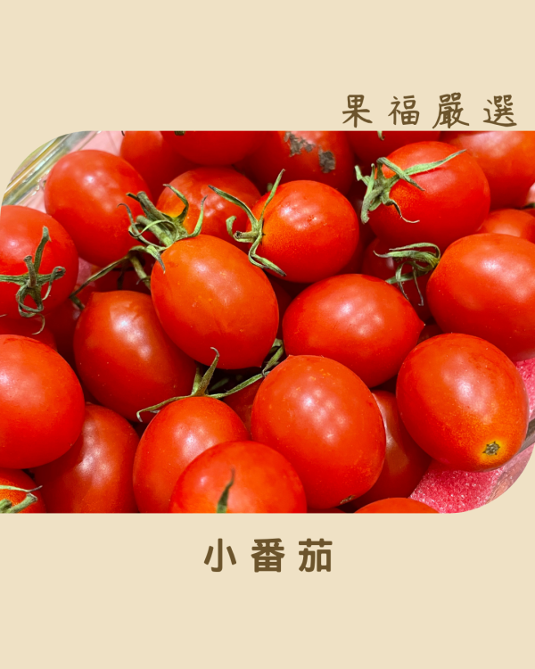 小番茄 