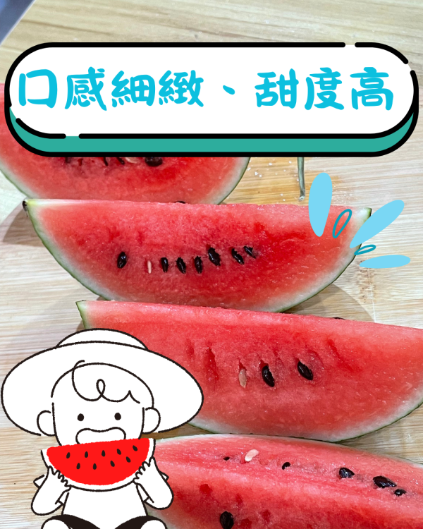 馬卡龍西瓜 