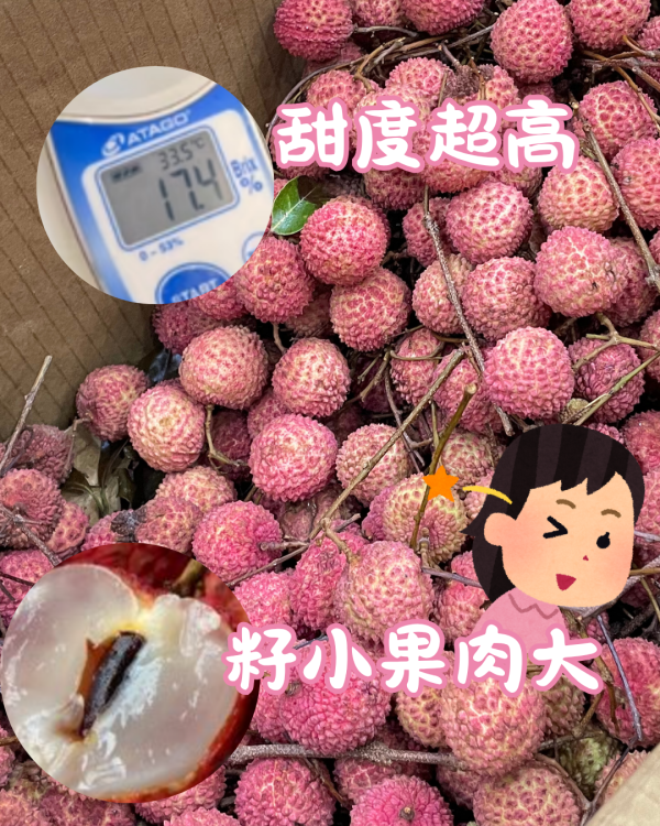 南投糯米荔枝 