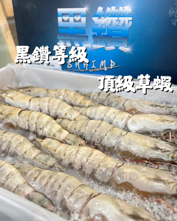 黑鑽草蝦 