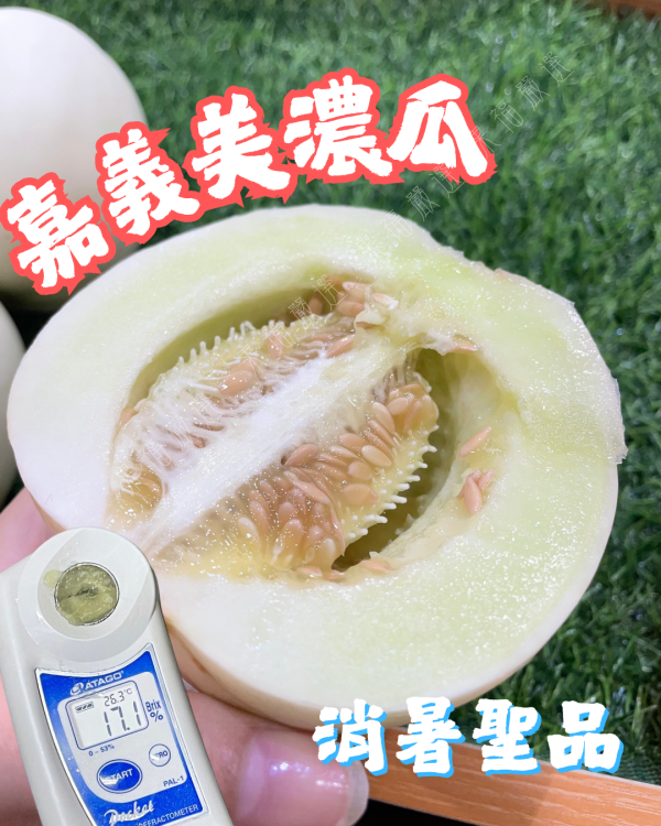 美濃瓜 