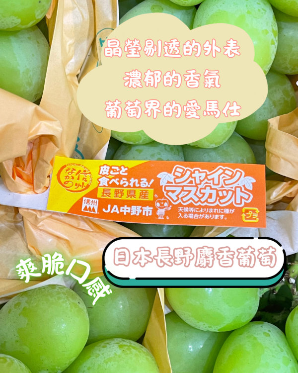 長野麝香葡萄 